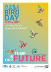 10 травня відзначатиметься Міжнародний день мігруючих птахів під символічним гаслом «Їх майбутнє, це наше майбутнє – здорова планета для мігруючих птахів і людей»